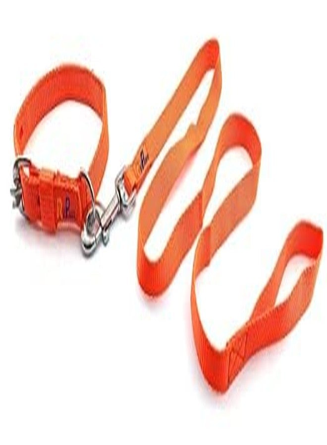 Pups&Pets طقم طوق ومقود من النايلون من Pups&Pets مقاس 22 مم، طقم طوق ومقود قابل للتعديل بشريط ناعم مقاس 0.75 بوصة، مثالي للكلاب الصغيرة والمتوسطة الحجم والجراء (برتقالي) - Image 3